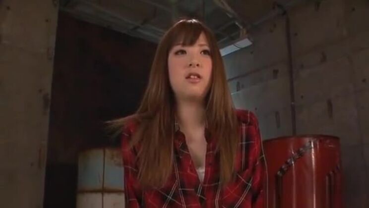 Una fica pelosa viene leccata e scopata