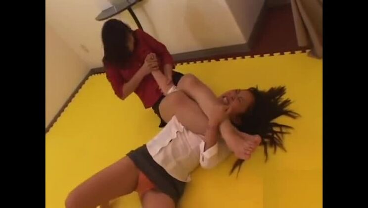 lotta tra gatte giapponesi 1-5