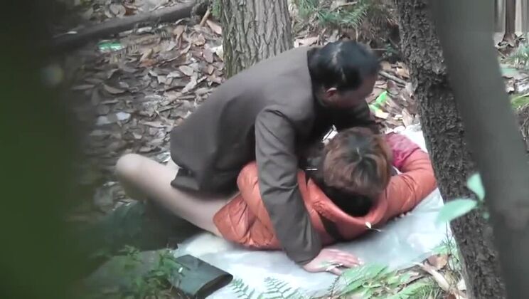 Foresta di papà cinese 33